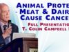 Animal Protein — Meat and Dairy — Cause Cancer
