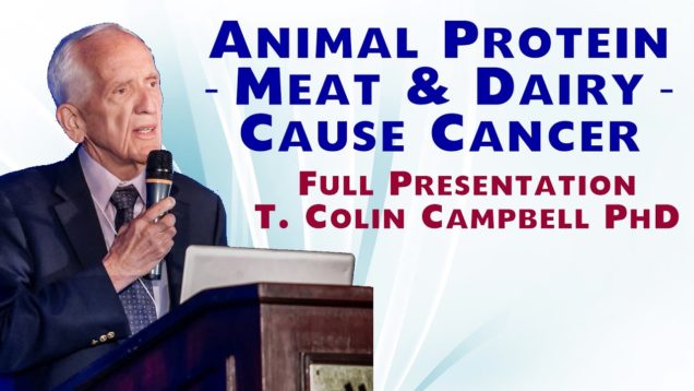 Animal Protein — Meat and Dairy — Cause Cancer