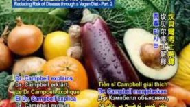 Dr. T. Colin Campbell’s: The China Study: Reducing Risk of Disease through a Vegan Diet- 2