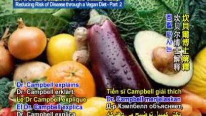 Dr. T. Colin Campbell’s: The China Study: Reducing Risk of Disease through a Vegan Diet- 2