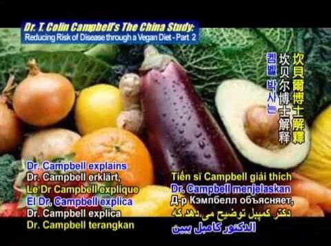 Dr. T. Colin Campbell’s: The China Study: Reducing Risk of Disease through a Vegan Diet- 2