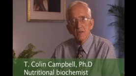 T. Colin Campbell Interview “The China Study” at Hippocrates Health Institute