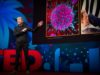 Sleep is your superpower | Matt Walker