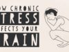 How stress affects your brain – Madhumita Murgia