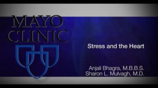 Stress & the Heart – What You Need to Know – Mayo Clinic